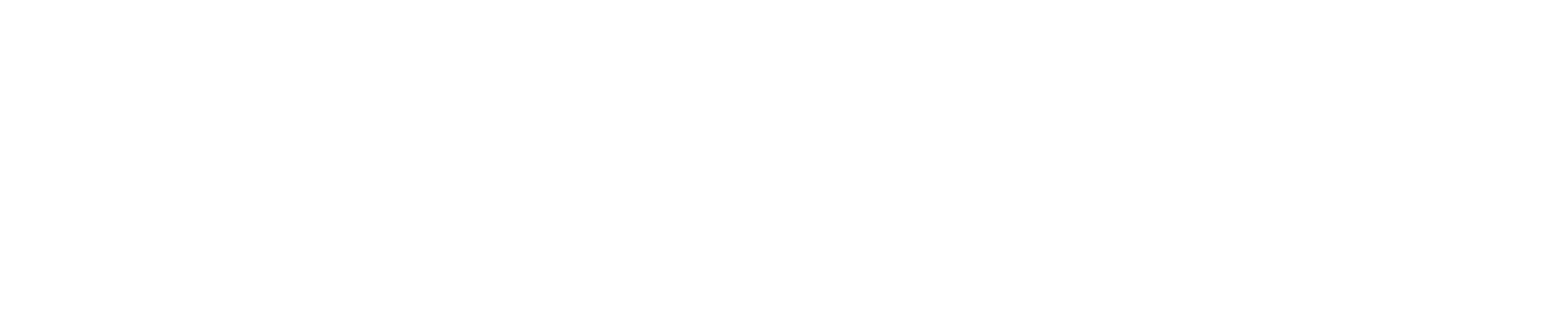 Make a wish Logo